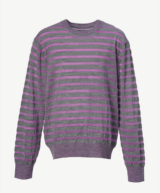 PHOTOCHROMIC BORDER CREW KNIT