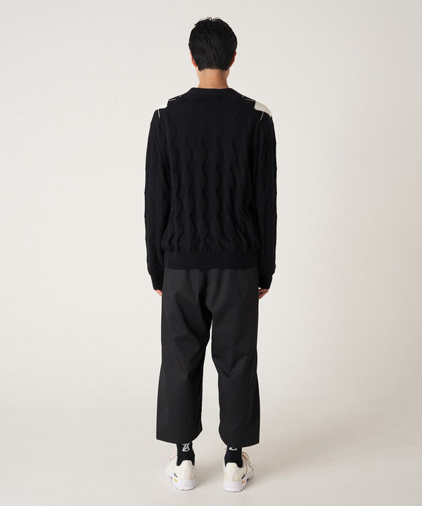 PHOTOCHROMIC ARGYLE CARDIGAN 詳細画像 GRAY 10
