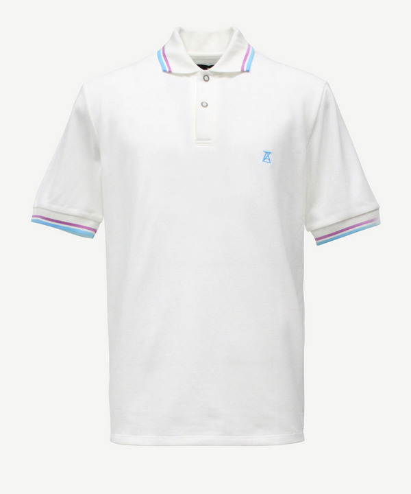 PHOTOCHROMIC AZ POLO TEE 詳細画像 BLUE 3