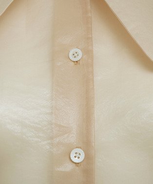 WINDPROOF ORGANDY BLOUSE 詳細画像
