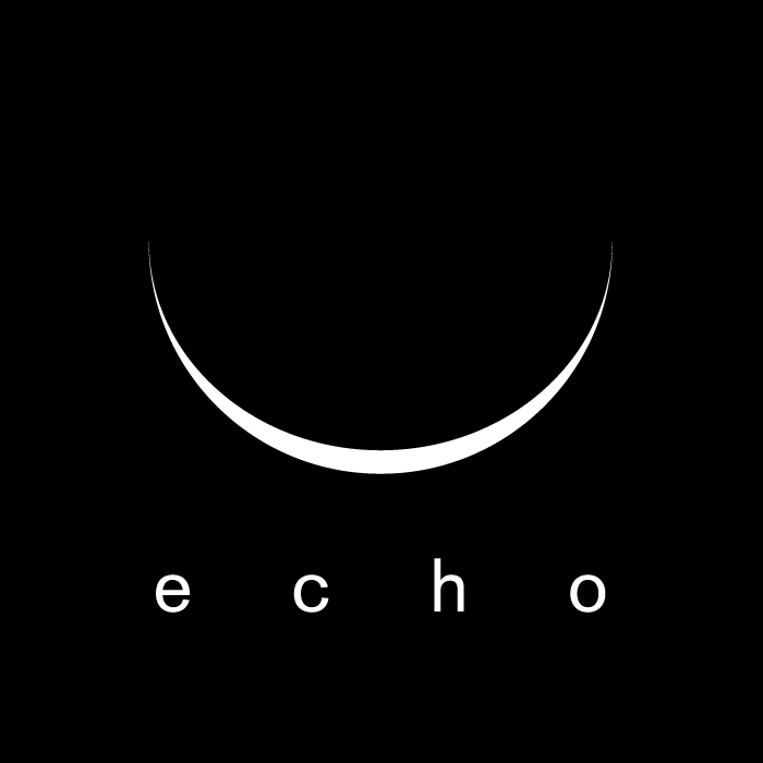 ヨコハマ・パラトリエンナーレ「echo」